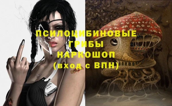 бошки Надым