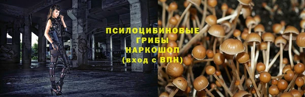 бошки Надым