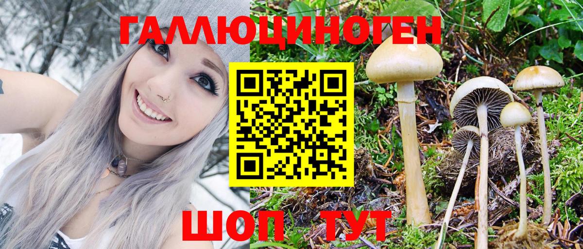 наркотики  Добрянка  Галлюциногенные грибы прущие грибы  Псилоцибиновые грибы мухоморы 